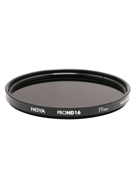HOYA PROND16